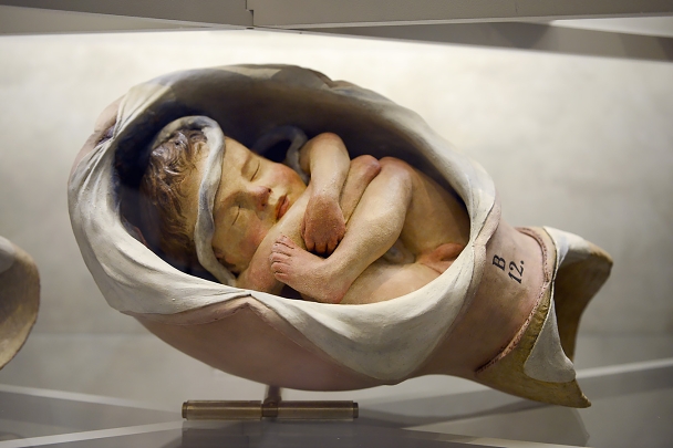 museo ostetrico giovan antonio galli bologna 8-2022 4099